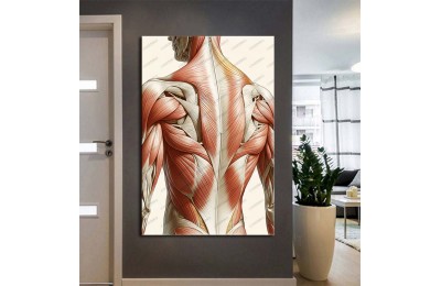 Fizik Tedavi ve Rehabilitasyon Temalı Kanvas Tablo ftv19