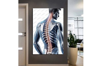 Fizik Tedavi ve Rehabilitasyon Temalı Kanvas Tablo ftv21