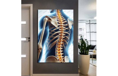 Fizik Tedavi ve Rehabilitasyon Temalı Kanvas Tablo ftv37