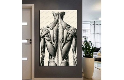 Fizik Tedavi ve Rehabilitasyon Temalı Kanvas Tablo ftv45