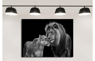 dkmr586 Dişi ve Erkek Arslan Dekoratif Tablo 