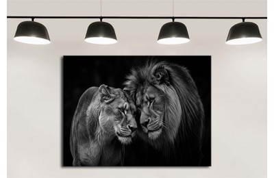 dkmr587 Aşık Arslanlar Dekoratif Tablo 