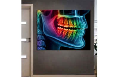 dsc637 Ağız ve Diş Polikliniği, Dişçi Tabloları, Diş Hekimi, Çene Tablo