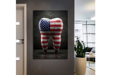 dsc783 Ağız ve Diş Polikliniği, Dişçi Tabloları, Diş Hekimi, Amerikan Bayrağı Tablo