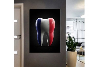 dsc793 Ağız ve Diş Polikliniği, Dişçi Tabloları, Diş Hekimi, Fransız Bayrağı Tablo