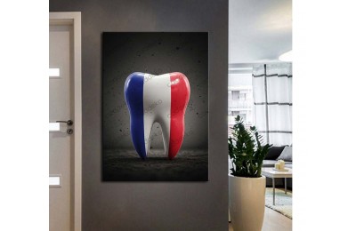 dsc794 Ağız ve Diş Polikliniği, Dişçi Tabloları, Diş Hekimi, Fransız Bayrağı Tablo