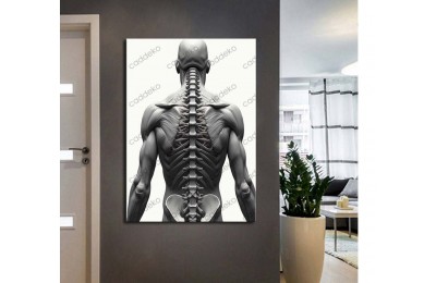 ftv47 Fizik Tedavi ve Rehabilitasyon Temalı Omurga Tablo