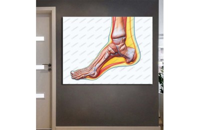 ftv48 Fizik Tedavi ve Rehabilitasyon Temalı Ayak Tablo