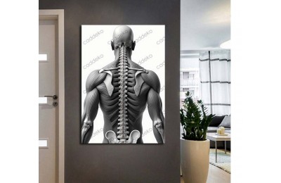 ftv52 Fizik Tedavi ve Rehabilitasyon Temalı Ayak Tablo