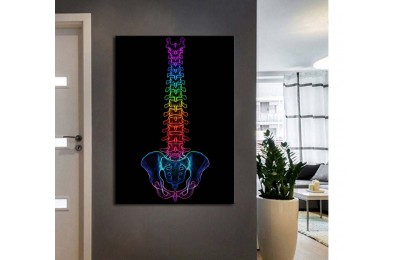 ftv55 Fizik Tedavi ve Rehabilitasyon Temalı Omurga Neon Renkler Tablo