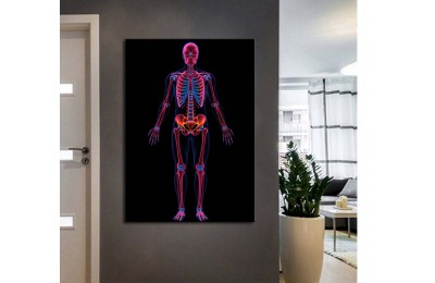 ftv59 Fizik Tedavi ve Rehabilitasyon Temalı İskelet Sistemi Neon Renkler Tablo