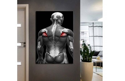 ftv64 Fizik Tedavi ve Rehabilitasyon Temalı Kas Sistemi Tablo