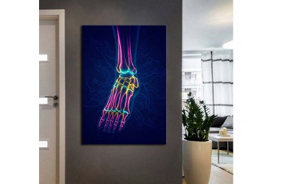 ftv66 Fizik Tedavi ve Rehabilitasyon Temalı Ayak Neon Renkler Tablo