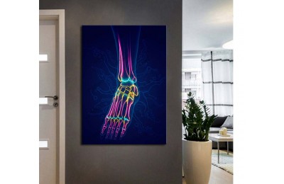 ftv68 Fizik Tedavi ve Rehabilitasyon Temalı Ayak Neon Renkler Tablo