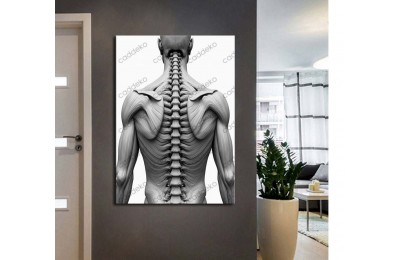 ftv69 Fizik Tedavi ve Rehabilitasyon Temalı Omurga Tablo