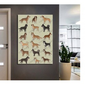 vtr80 Pet Center Dekorasyon Veteriner Kliniği Köpekler Tablo