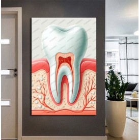 Ağız ve Diş Sağlığı Polikliniği Tabloları Dekoratif Diş, Dekoratif Dişçi, Dişçi Dekorasyonu dsc554