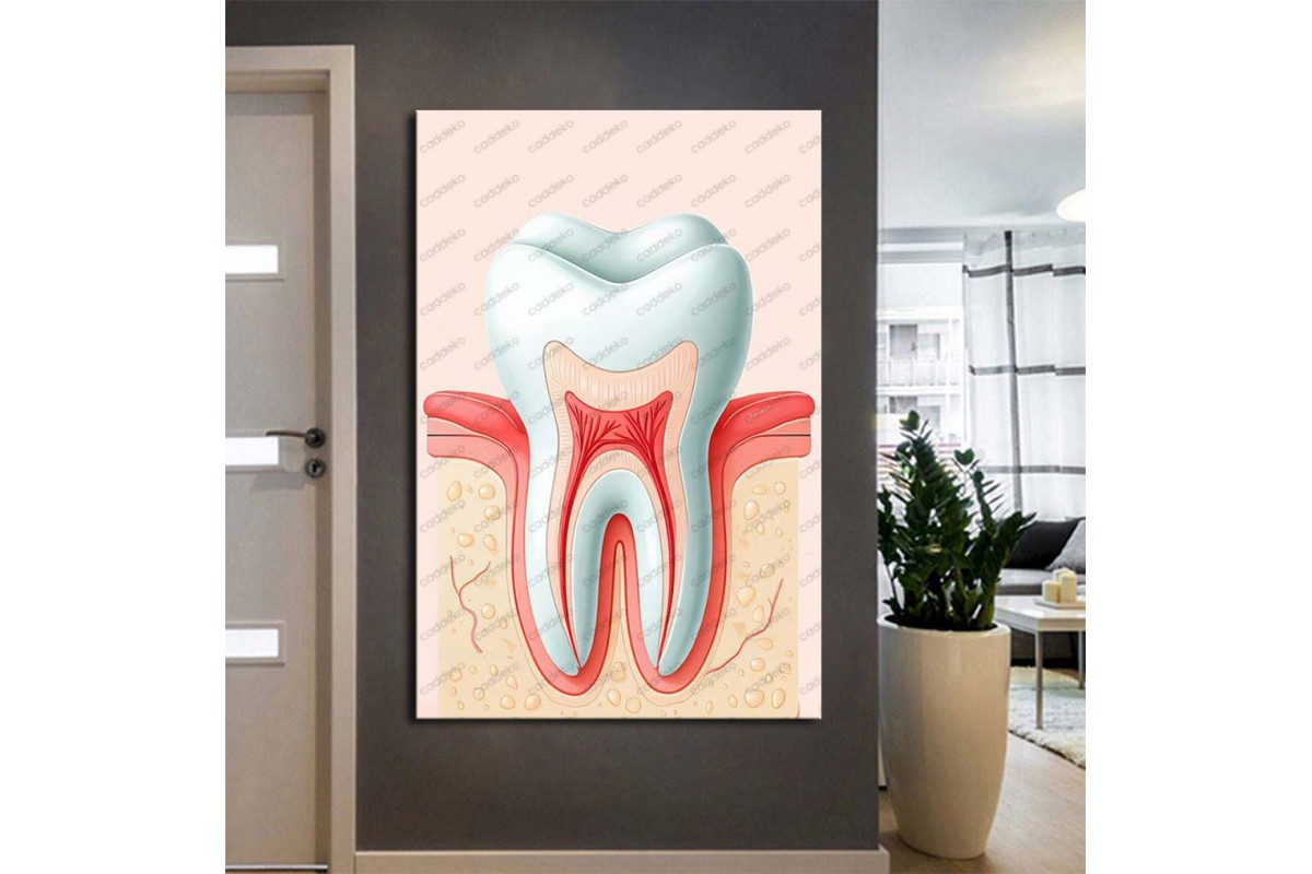 Ağız ve Diş Sağlığı Polikliniği Tabloları Dekoratif Diş, Dekoratif Dişçi, Dişçi Dekorasyonu dsc561