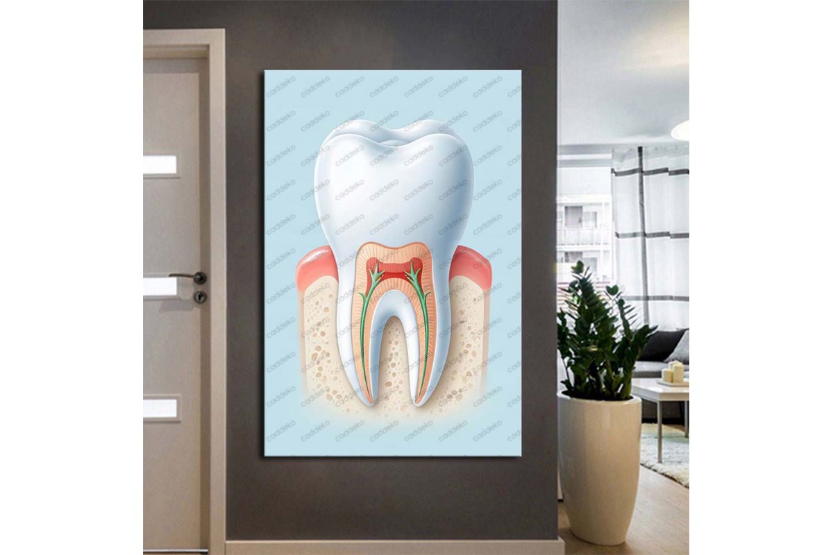 Ağız ve Diş Sağlığı Polikliniği Tabloları Dekoratif Diş, Dekoratif Dişçi, Dişçi Dekorasyonu dsc565