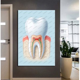 Ağız ve Diş Sağlığı Polikliniği Tabloları Dekoratif Diş, Dekoratif Dişçi, Dişçi Dekorasyonu dsc565