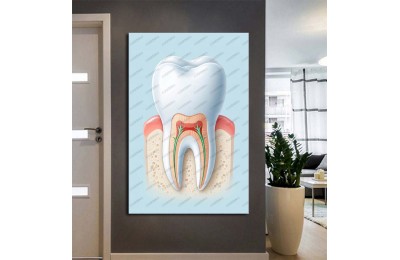 Ağız ve Diş Sağlığı Polikliniği Tabloları Dekoratif Diş, Dekoratif Dişçi, Dişçi Dekorasyonu dsc565