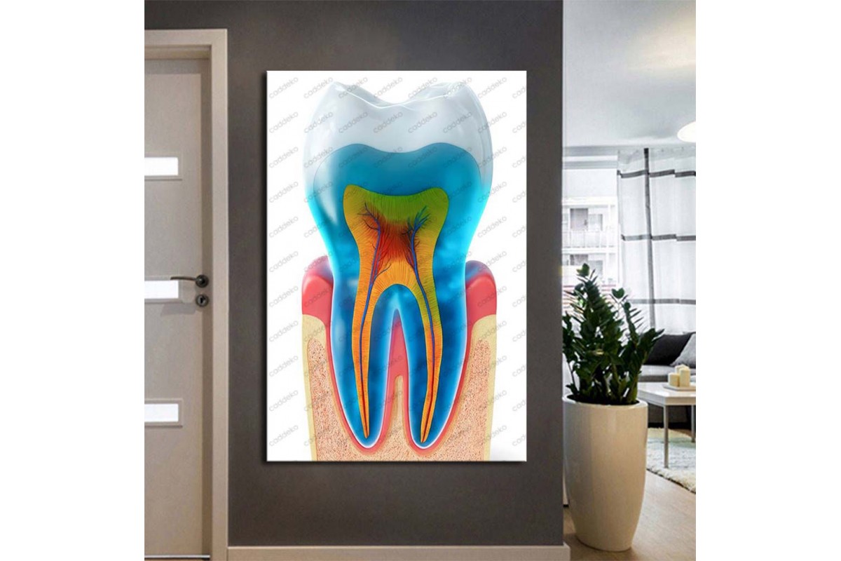Ağız ve Diş Sağlığı Polikliniği Tabloları Dekoratif Diş, Dekoratif Dişçi, Dişçi Dekorasyonu dsc613