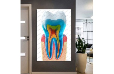 Ağız ve Diş Sağlığı Polikliniği Tabloları Dekoratif Diş, Dekoratif Dişçi, Dişçi Dekorasyonu dsc613