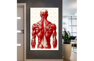 Poliklinik Klinik Hastane Dekorasyonu Medikal Hastane Tabloları hst211