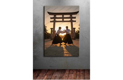 ai20 Aikido ve İaido Temalı Kanvas Tablo