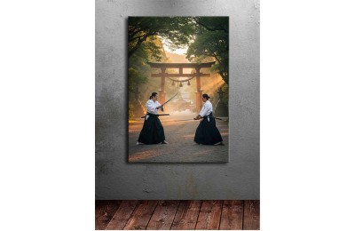 ai23 Aikido ve İaido Temalı Kanvas Tablo