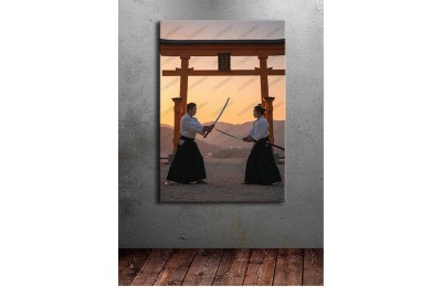ai24 Aikido ve İaido Temalı Kanvas Tablo