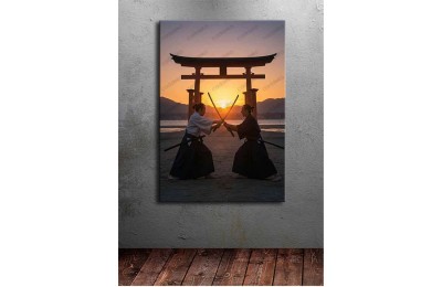 ai25 Aikido ve İaido Temalı Kanvas Tablo