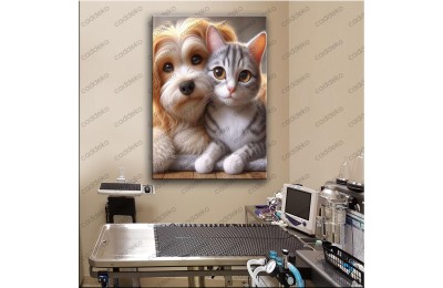 Pet Center Dekorasyon Veteriner Kliniği Tabloları Postmodern Kedi vtr30 vtr73