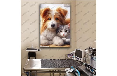 Pet Center Dekorasyon Veteriner Kliniği Tabloları Postmodern Kedi vtr30 vtr75