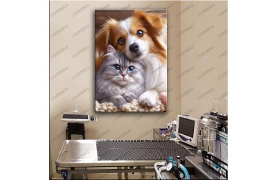 Pet Center Dekorasyon Veteriner Kliniği Tabloları Postmodern Kedi vtr30 vtr76