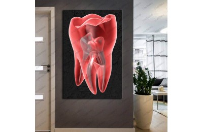 Ağız ve Diş Sağlığı Polikliniği Tabloları Dekoratif Diş, Dekoratif Dişçi, Dişçi Dekorasyonu dsc-136