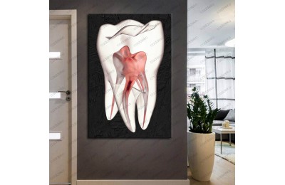 Ağız ve Diş Sağlığı Polikliniği Tabloları Dekoratif Diş, Dekoratif Dişçi, Dişçi Dekorasyonu dsc-144