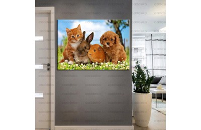 Pet Center Dekorasyon Veteriner Kliniği Tabloları kns-47