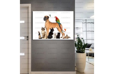Pet Center Dekorasyon Veteriner Kliniği Tabloları kns-48