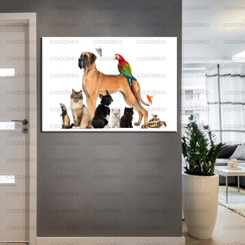 Pet Center Dekorasyon Veteriner Kliniği Tabloları kns-48