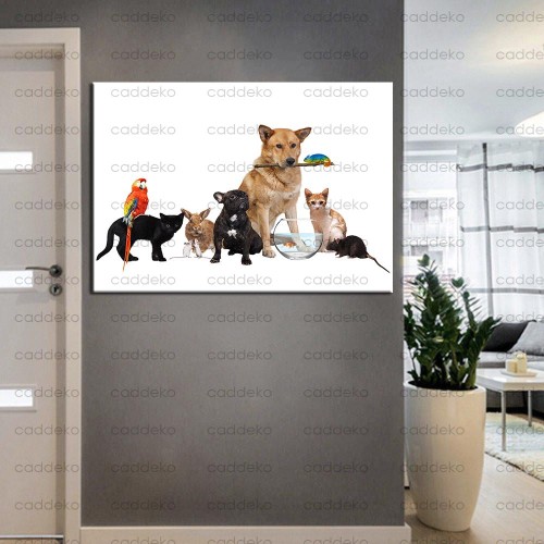 Pet Center Dekorasyon Veteriner Kliniği Tabloları kns-49