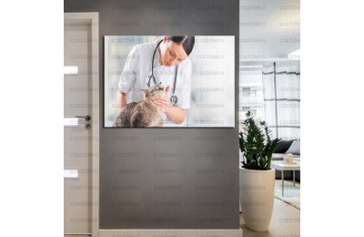 Pet Center Dekorasyon Veteriner Kliniği Tabloları kns-50