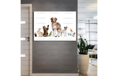 Pet Center Dekorasyon Veteriner Kliniği Tabloları kns-51
