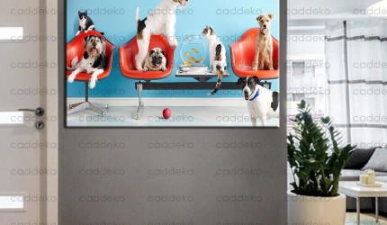 Veteriner Kliniği ve Pet Shop Duvar Dekorasyonu: Doğru Tablo Seçimi Rehberi