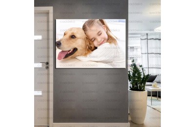 Pet Center Dekorasyon Veteriner Kliniği Tabloları kns-54