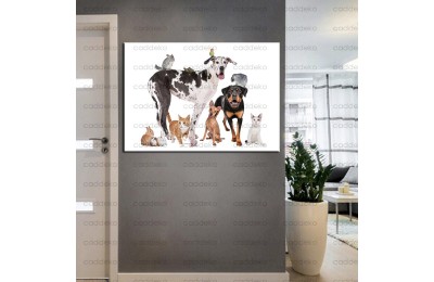 Pet Center Dekorasyon Veteriner Kliniği Tabloları kns-55