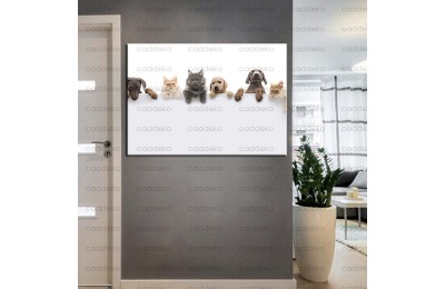 Pet Center Dekorasyon Veteriner Kliniği Tabloları kns-56