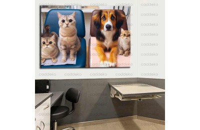 Pet Center Dekorasyon Veteriner Kliniği Tabloları vtr22