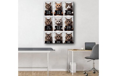 Pet Center Dekorasyon Veteriner Kliniği Tabloları Kediler vtr40