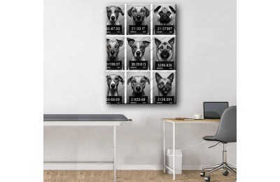 Pet Center Dekorasyon Veteriner Kliniği Tabloları Köpekler vtr42